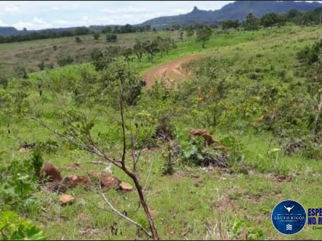 #3518 - Fazenda para Venda em Doverlândia - GO