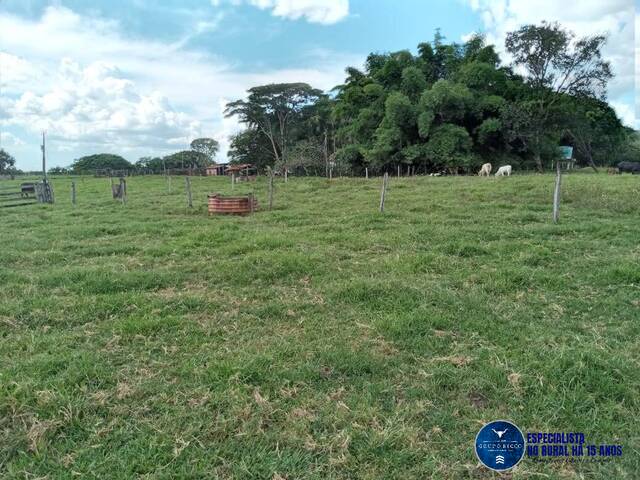 #3519 - Fazenda para Venda em Doverlândia - GO
