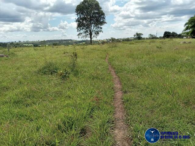 #3519 - Fazenda para Venda em Doverlândia - GO