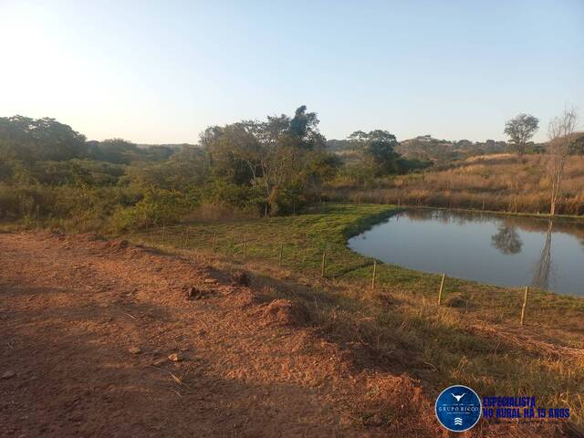 #3535 - Chácara para Venda em Bela Vista de Goiás - GO