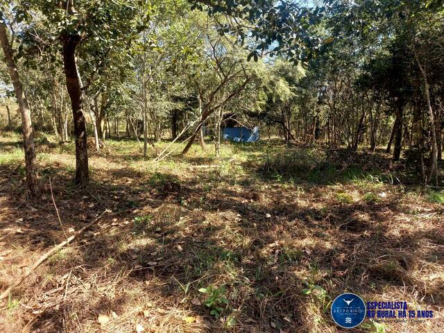 #3536 - Chácara para Venda em Bela Vista de Goiás - GO