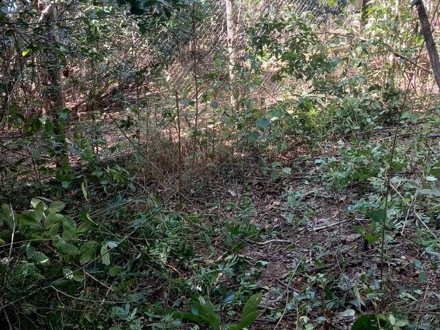 #3536 - Chácara para Venda em Bela Vista de Goiás - GO