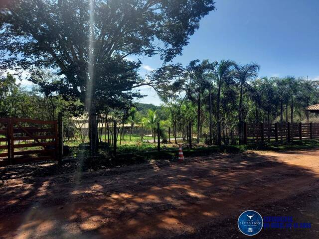 #3536 - Chácara para Venda em Bela Vista de Goiás - GO
