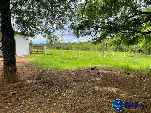 #3541 - Fazenda para Venda em Piracanjuba - GO