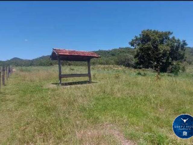 #3545 - Fazenda para Venda em Araguapaz - GO
