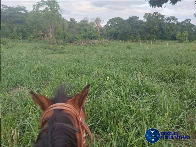 #3545 - Fazenda para Venda em Araguapaz - GO
