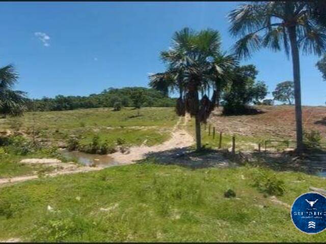 #3545 - Fazenda para Venda em Araguapaz - GO