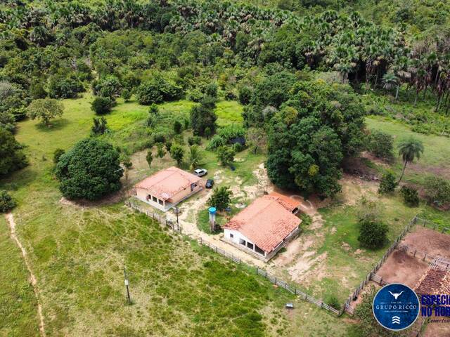 #3548 - Fazenda para Venda em Presidente Kennedy - TO