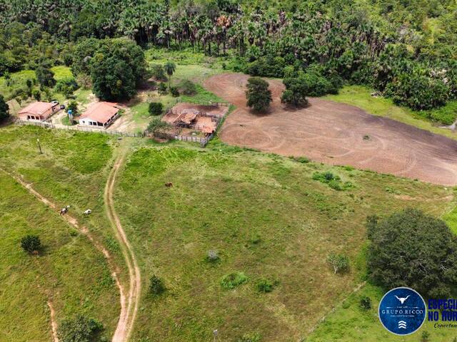 #3548 - Fazenda para Venda em Presidente Kennedy - TO