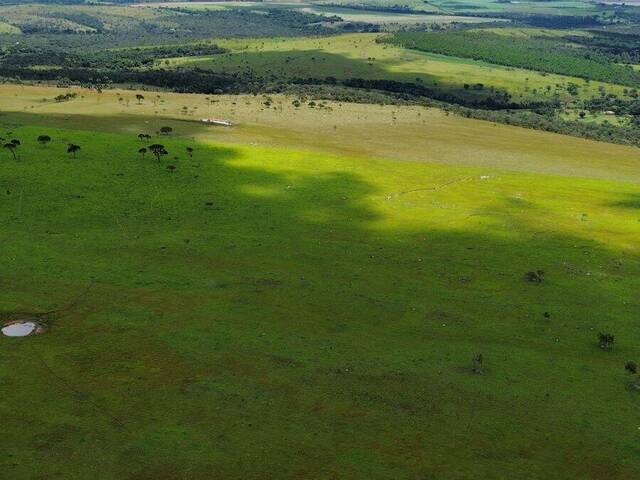 #3550 - Fazenda para Venda em Cocalzinho de Goiás - GO