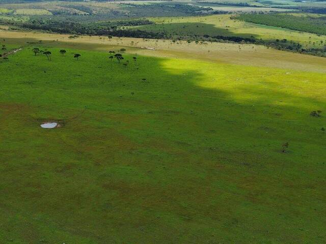 #3550 - Fazenda para Venda em Cocalzinho de Goiás - GO