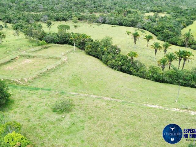 #3550 - Fazenda para Venda em Cocalzinho de Goiás - GO