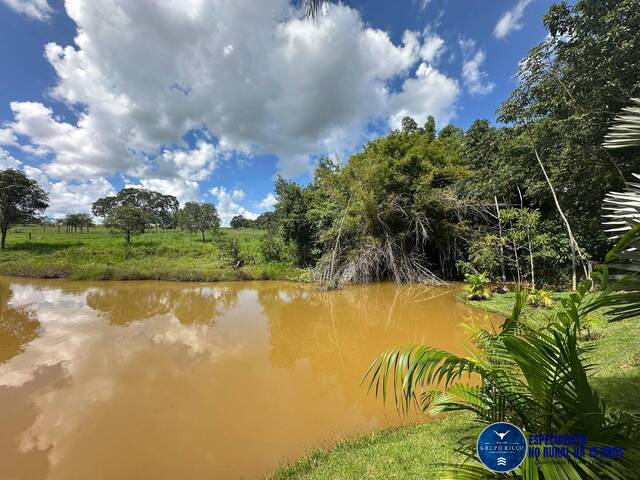 #3551 - Chácara para Venda em Bela Vista de Goiás - GO