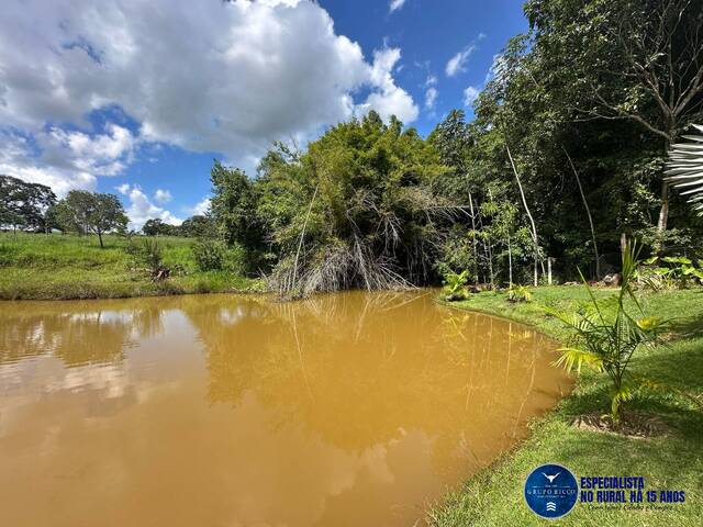 #3551 - Chácara para Venda em Bela Vista de Goiás - GO