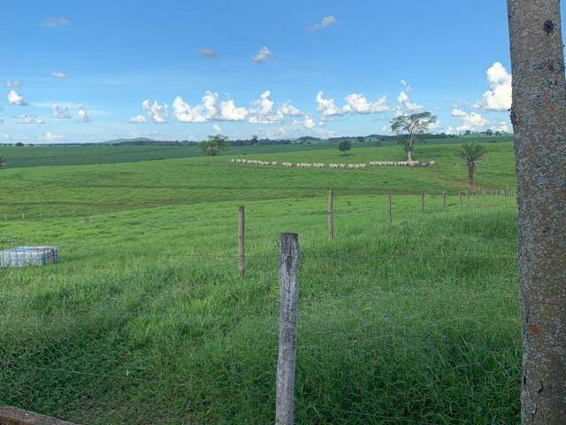 #3552 - Fazenda para Venda em Itaberaí - GO
