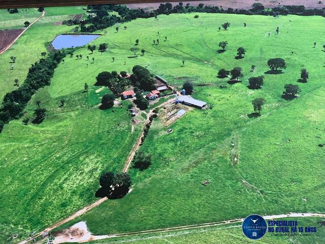 #3552 - Fazenda para Venda em Itaberaí - GO