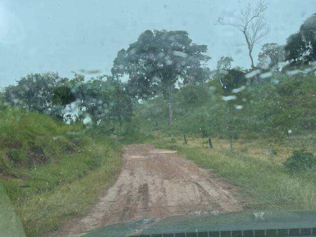 Fazenda para Venda em Goiás - 5