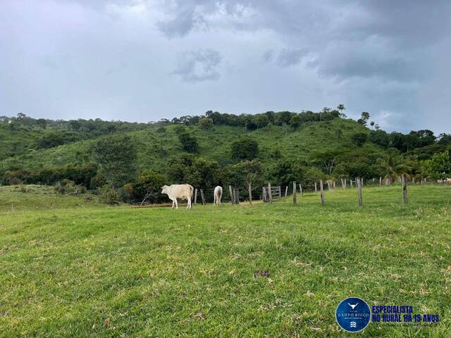 #3560 - Fazenda para Venda em Goiás - GO