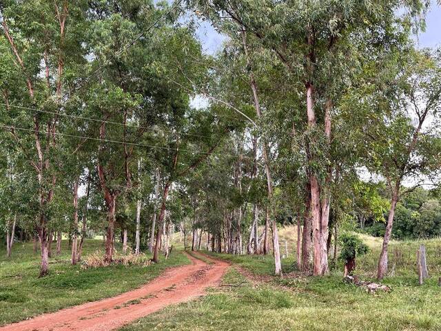 #3560 - Fazenda para Venda em Goiás - GO
