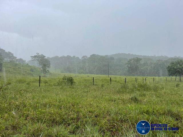Fazenda para Venda em Goiás - 4