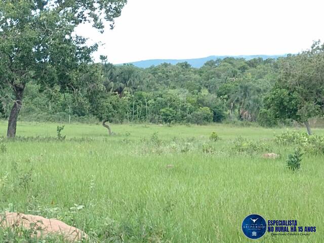 #3561 - Fazenda para Venda em Montes Claros de Goiás - GO