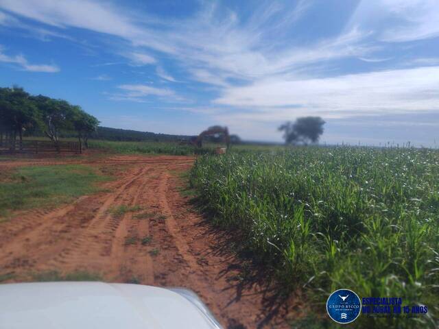 #3561 - Fazenda para Venda em Montes Claros de Goiás - GO