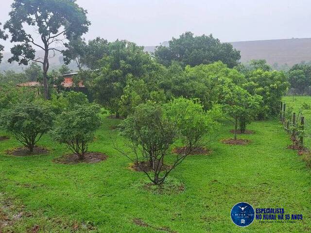 Chácara para Venda em Piracanjuba - 4