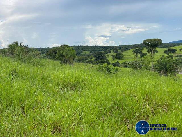 Fazenda para Venda em Israelândia - 5