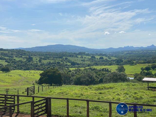 #3570 - Fazenda para Venda em Israelândia - GO