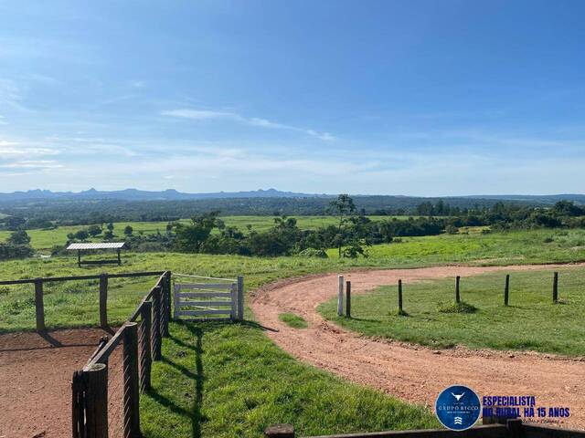 Venda em zona rural - Israelândia