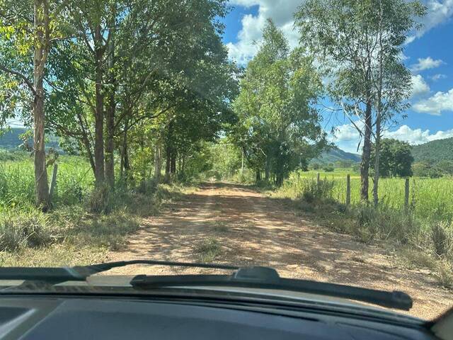 #3574 - Fazenda para Venda em Barro Alto - GO