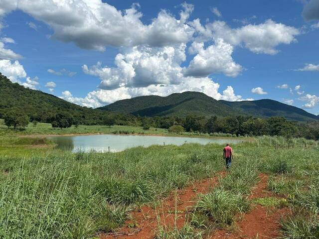 #3574 - Fazenda para Venda em Barro Alto - GO