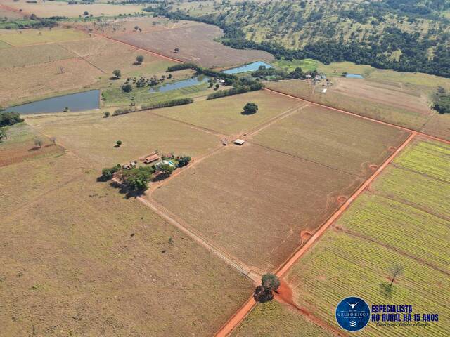 #3579 - Chácara para Venda em Avelinópolis - GO