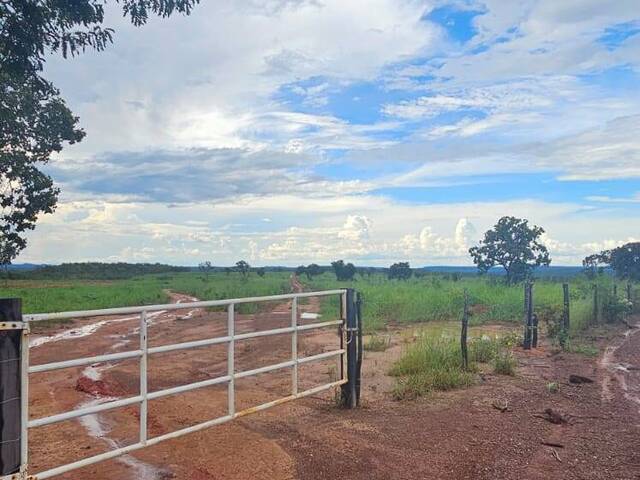 Fazenda para Venda em Palmas - 5