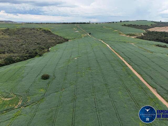 #3582 - Fazenda para Venda em Abadiânia - GO