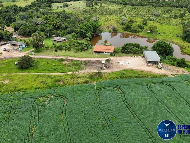 #3582 - Fazenda para Venda em Abadiânia - GO