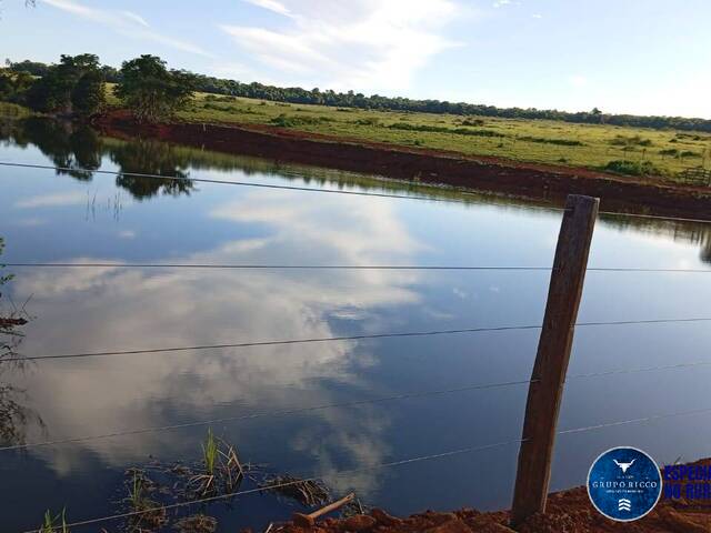 #3587 - Fazenda para Venda em Goianésia - GO