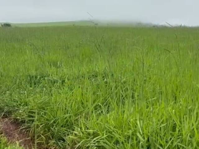#3587 - Fazenda para Venda em Goianésia - GO
