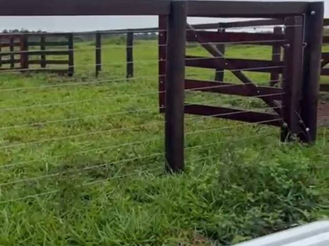 #3587 - Fazenda para Venda em Goianésia - GO