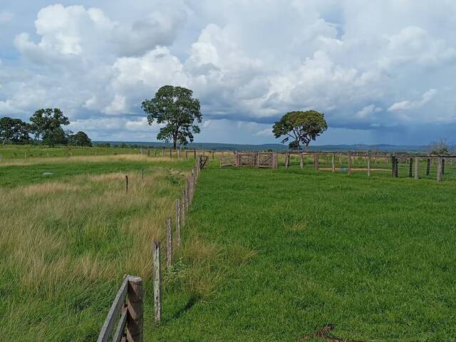 #3592 - Chácara para Venda em Pontal do Araguaia - MT