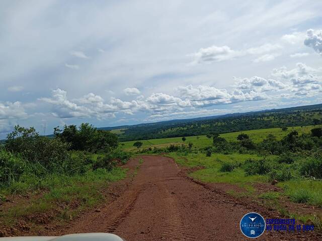 #3592 - Chácara para Venda em Pontal do Araguaia - MT