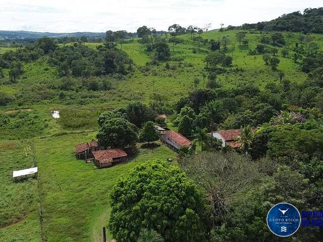 #3594 - Chácara para Venda em Nerópolis - GO