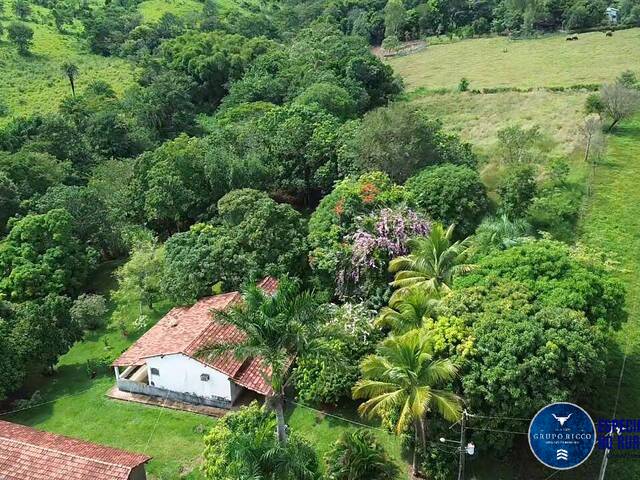 #3594 - Chácara para Venda em Nerópolis - GO