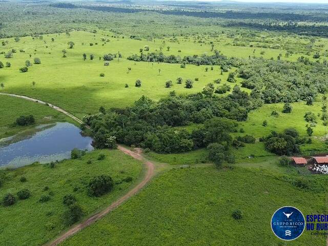 #3596 - Fazenda para Venda em Ananás - TO