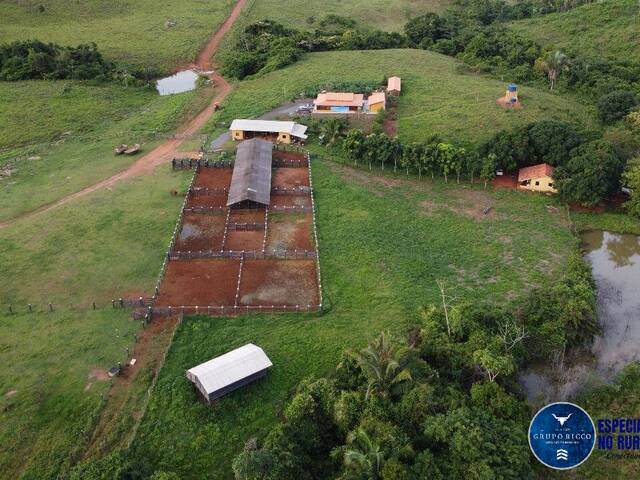 #3596 - Fazenda para Venda em Ananás - TO