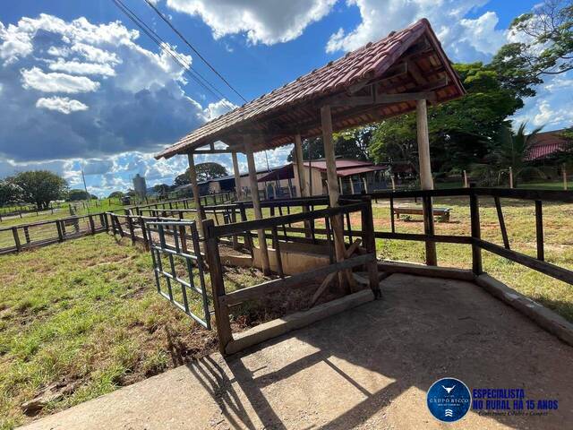 #3597 - Fazenda para Venda em Itaberaí - GO