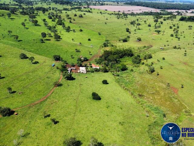 #3598 - Fazenda para Venda em Santa Bárbara de Goiás - GO