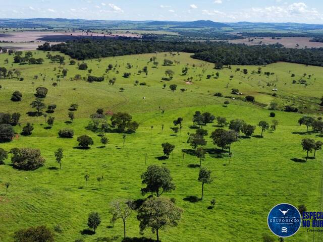 #3598 - Fazenda para Venda em Santa Bárbara de Goiás - GO