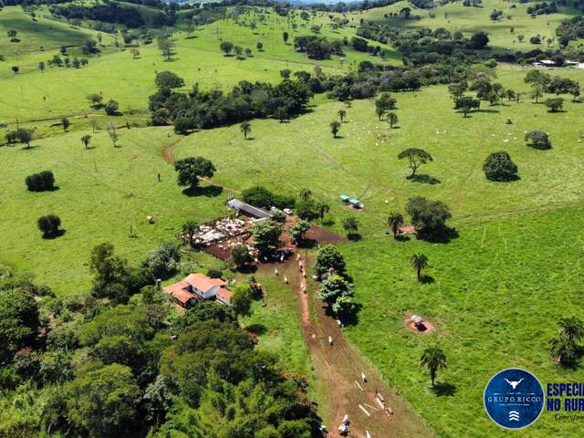 Fazenda para Venda em Santa Bárbara de Goiás - 5
