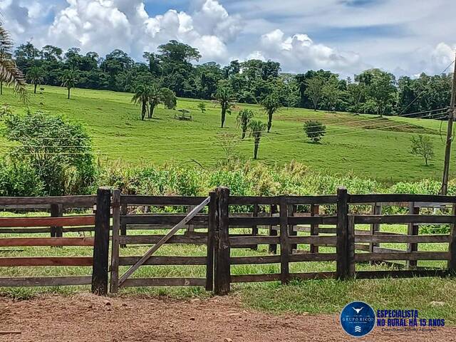 Fazenda para Venda em Santa Bárbara de Goiás - 4